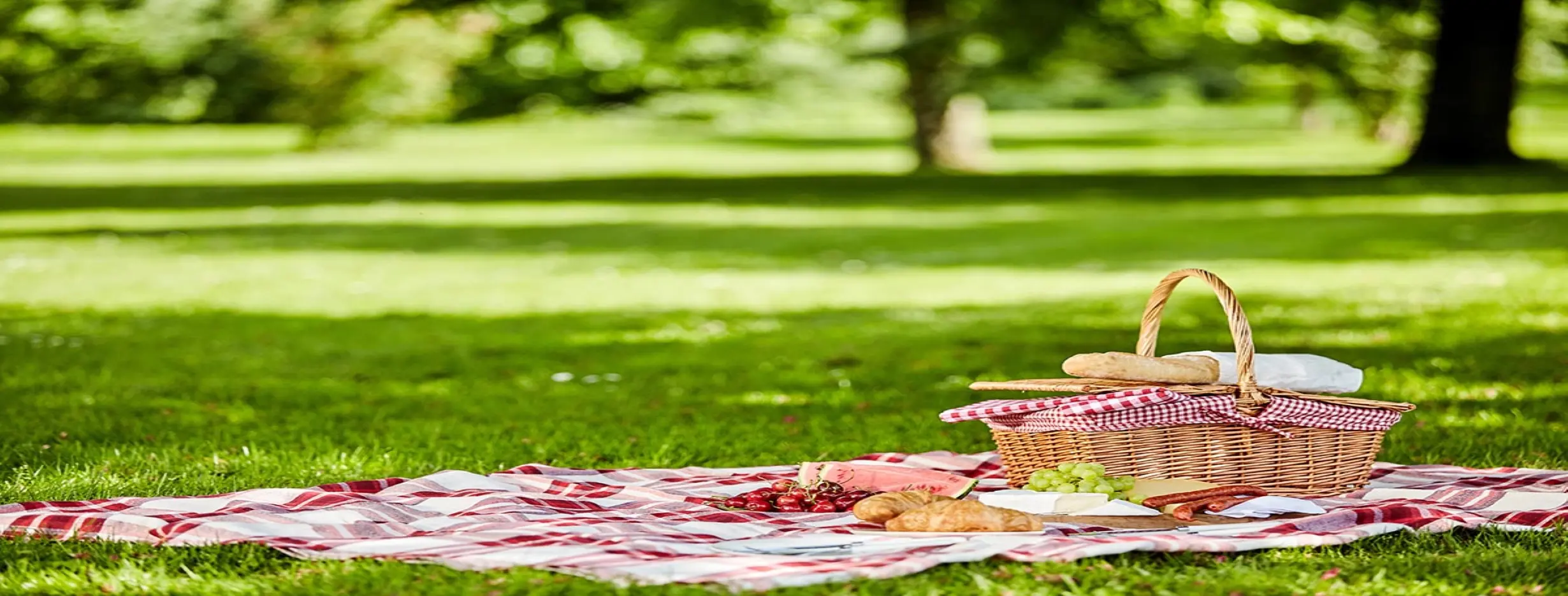 Image for Park Picnic
